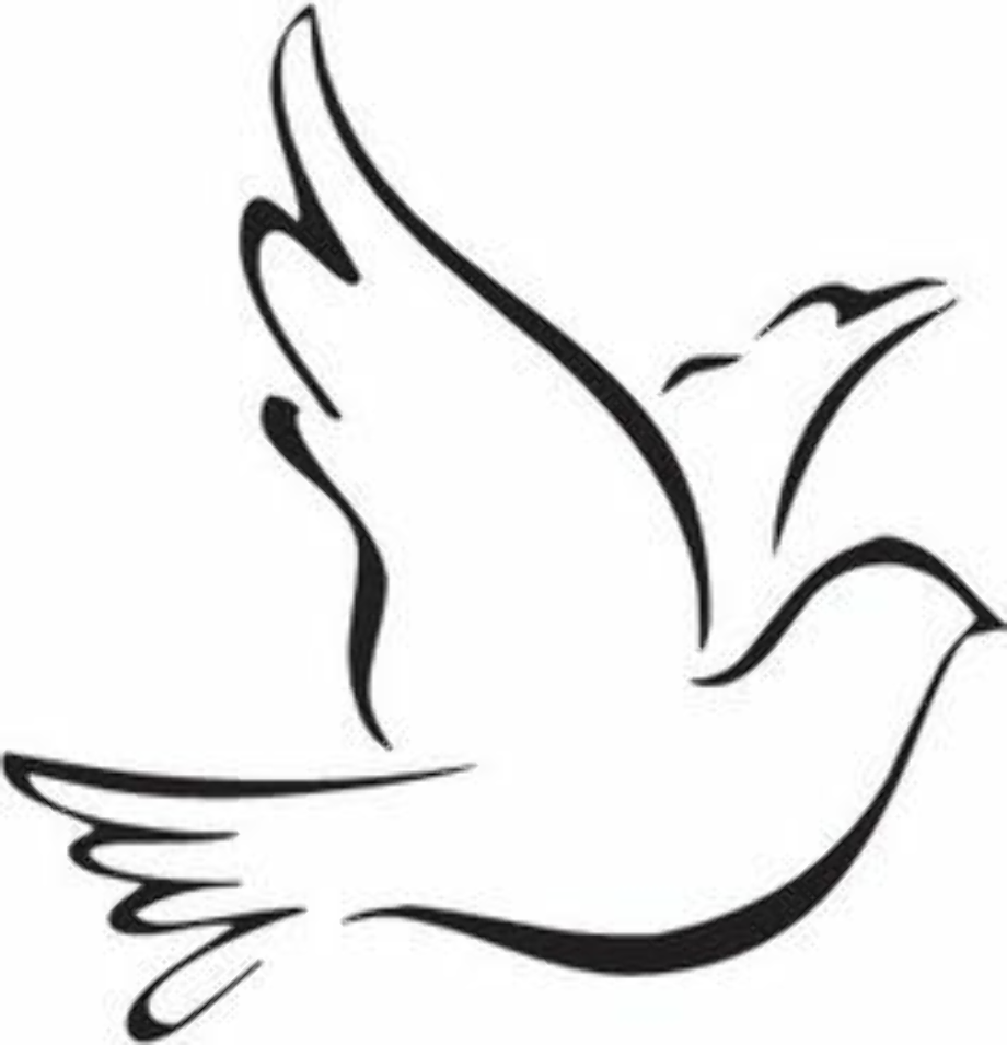 Download High Quality dove clipart easy Transparent PNG Images - Art