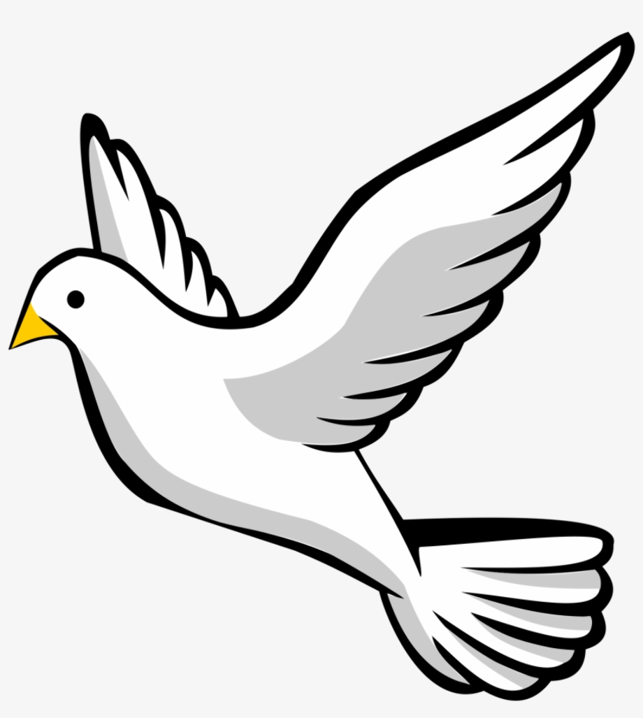 dove clipart cute