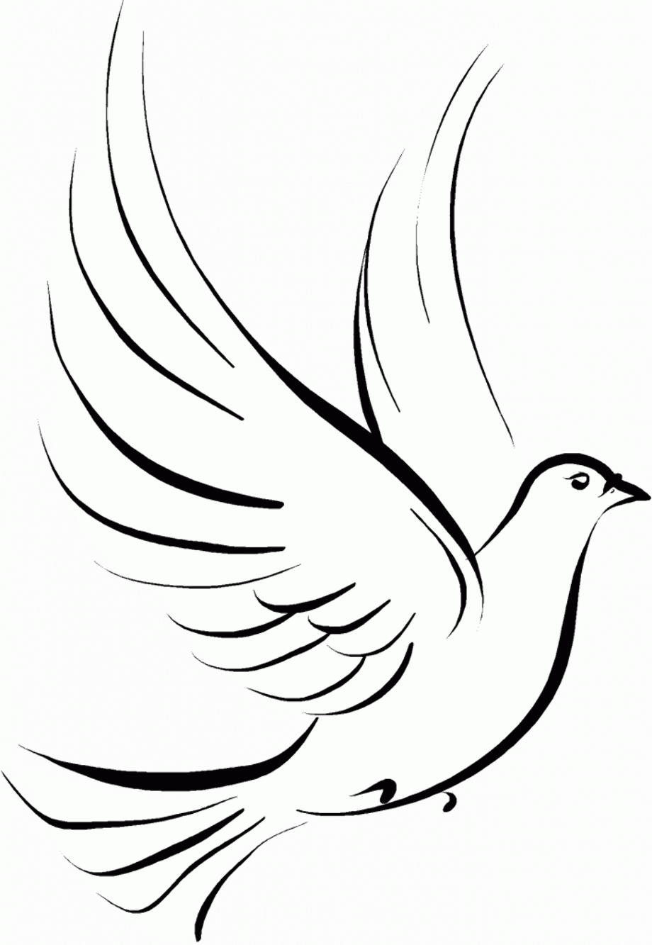 Download High Quality dove clipart holy spirit Transparent PNG Images ...