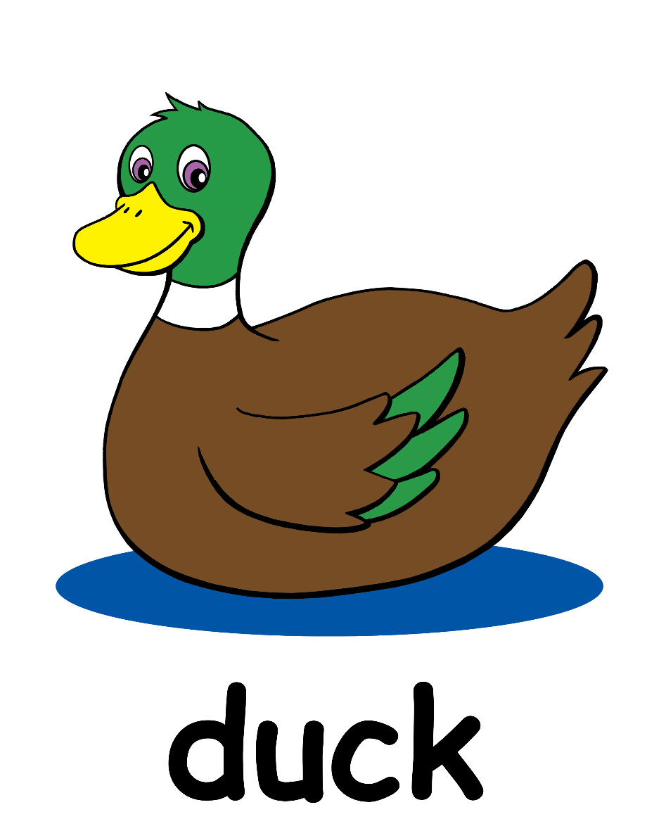 Duck sad