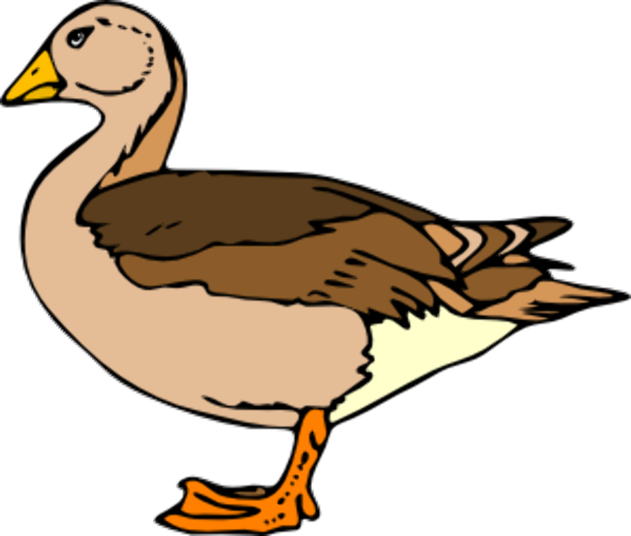 Download High Quality Duck Clipart Realistic Transparent Png Images