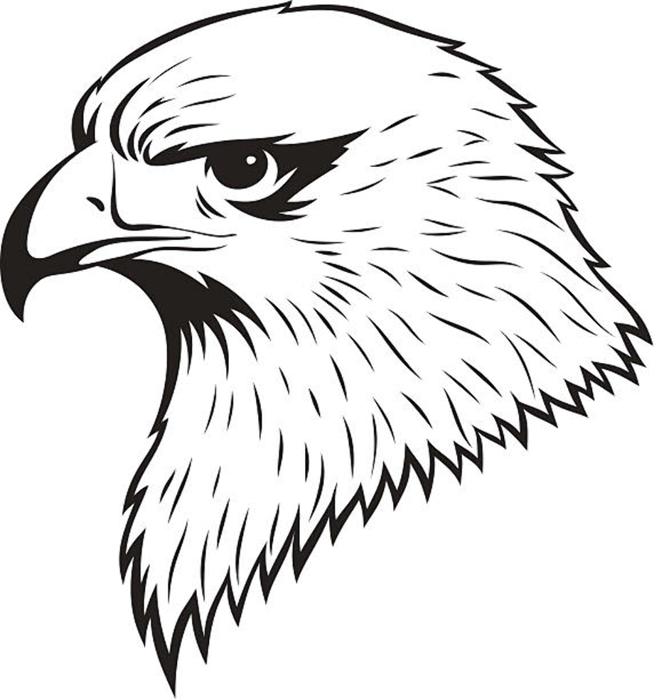 Eagle clipart black and white.
