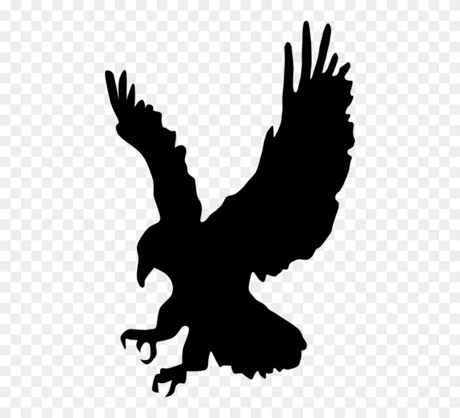 Download High Quality eagle clipart black and white Transparent PNG