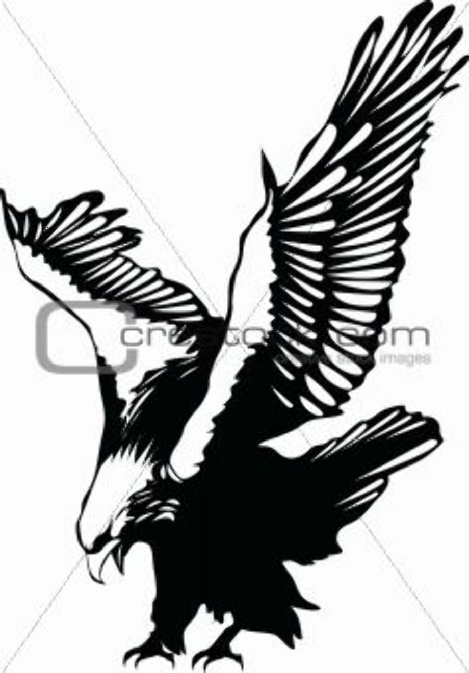 eagle clipart flying