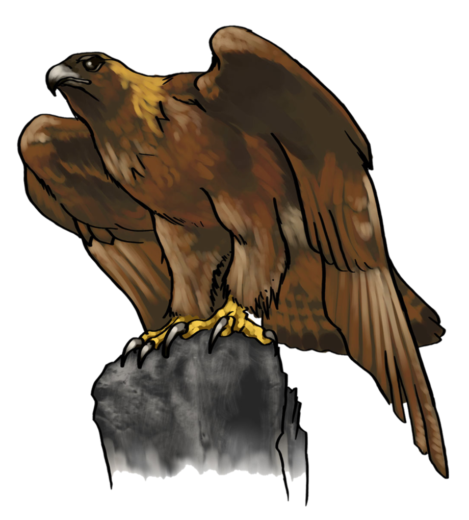 Download High Quality eagle clipart gold Transparent PNG Images - Art