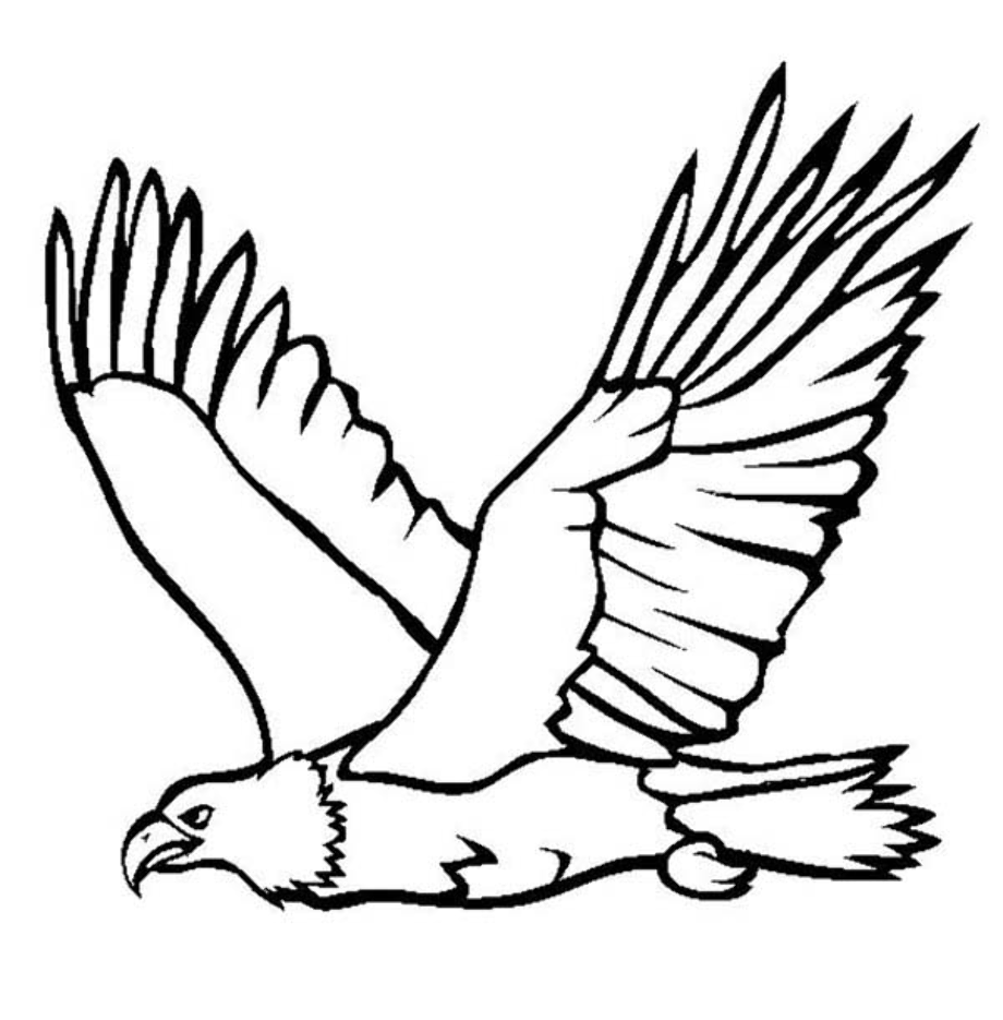 Download High Quality eagle clipart outline Transparent PNG Images