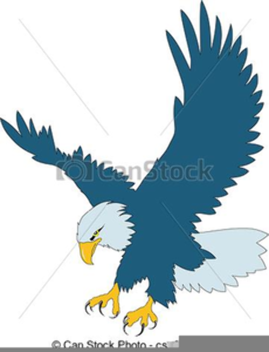 eagle clipart royalty free