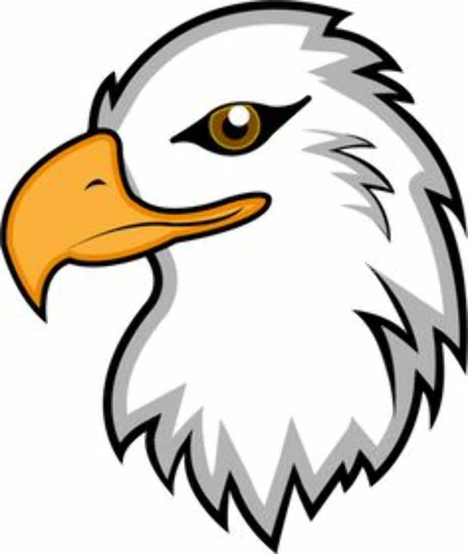 eagle clipart school