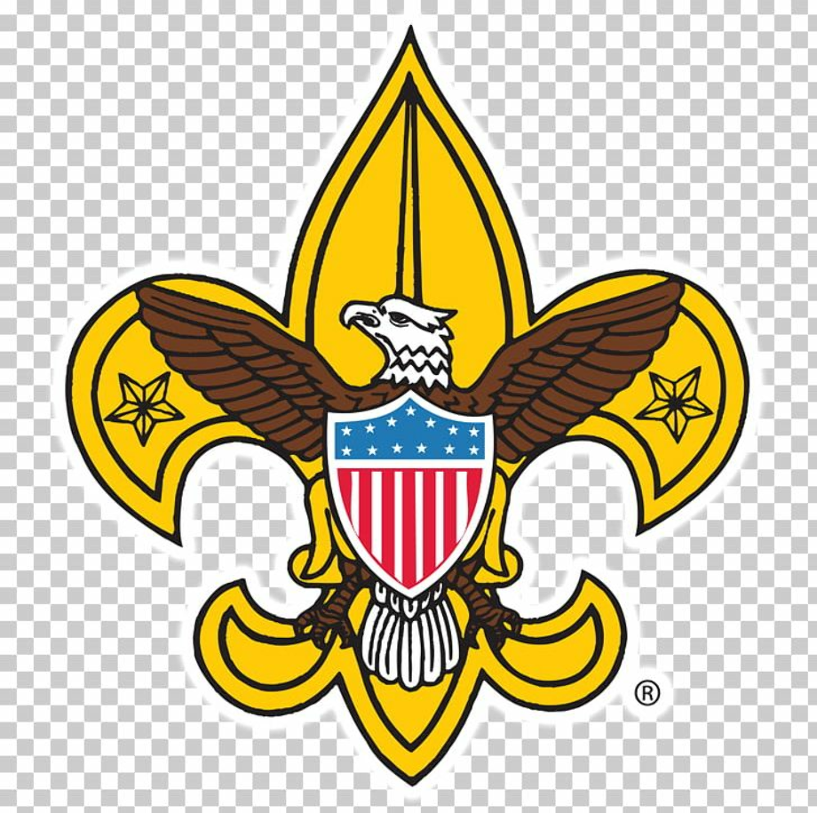 eagle scout logo cub