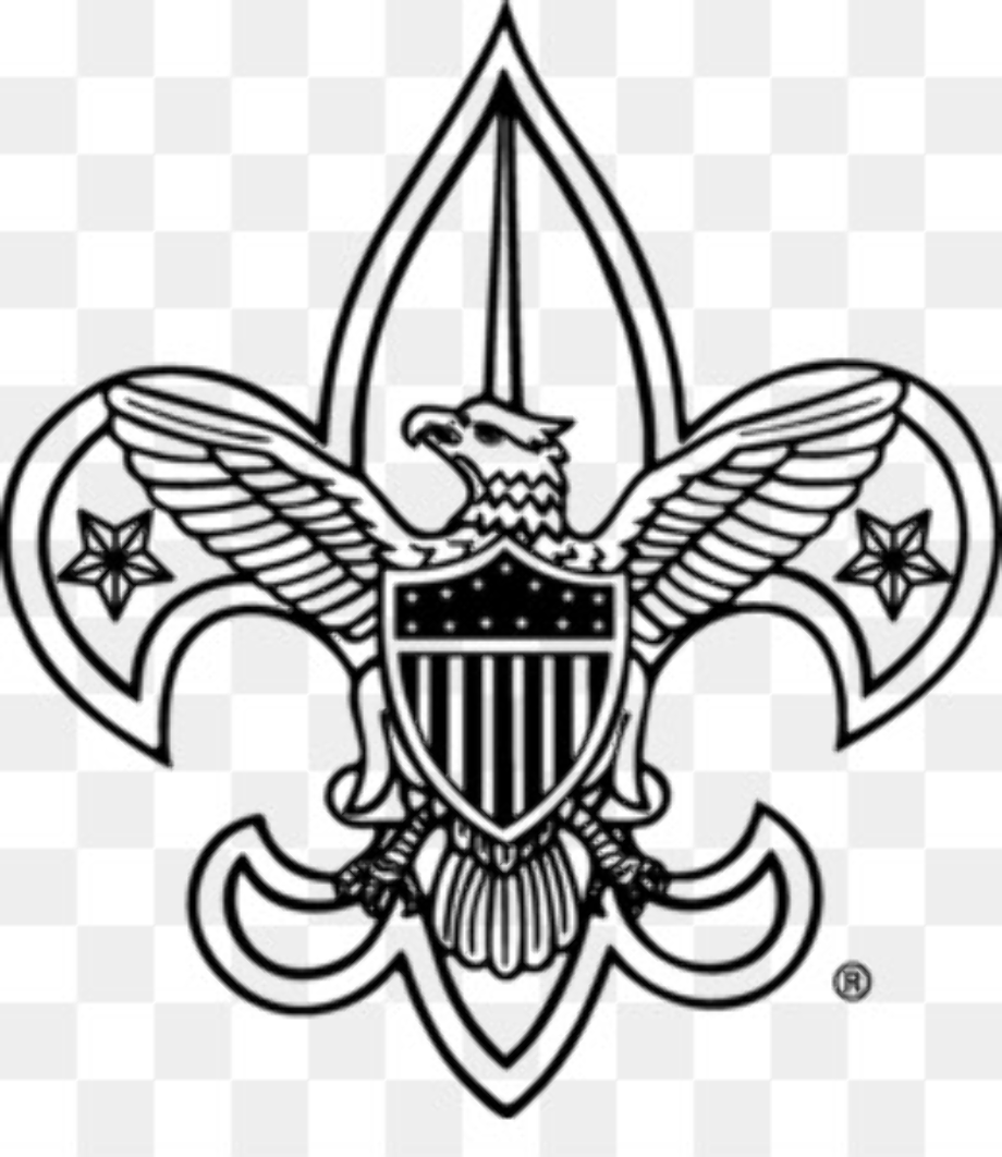 eagle scout logo cub