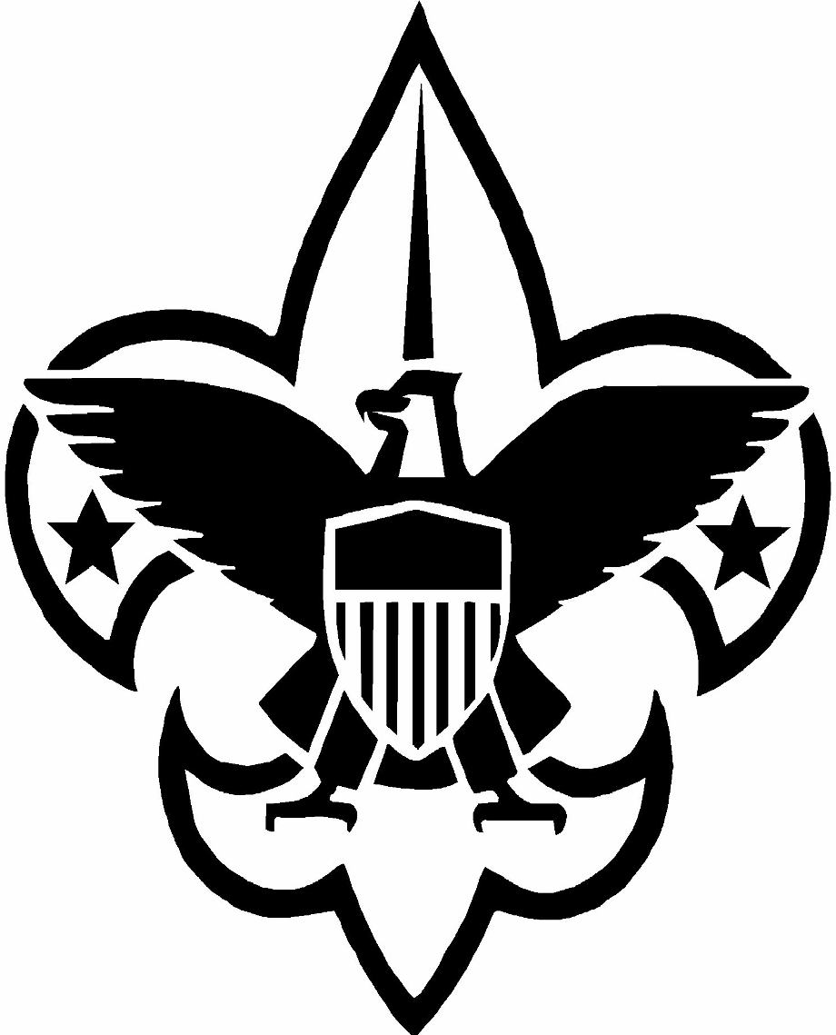boy scouts logo cub