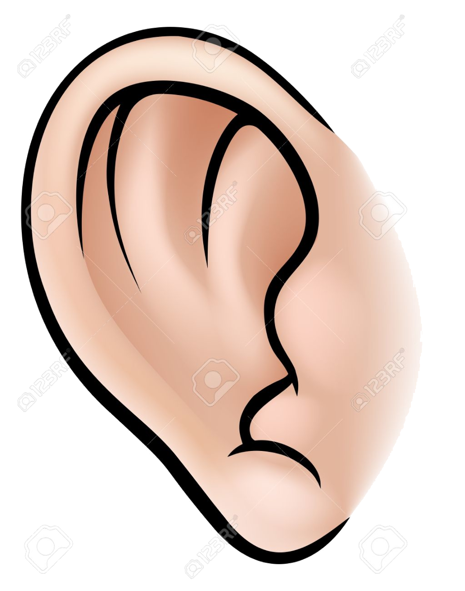 Download High Quality Ear Clip Art Transparent Png Images Art Prim