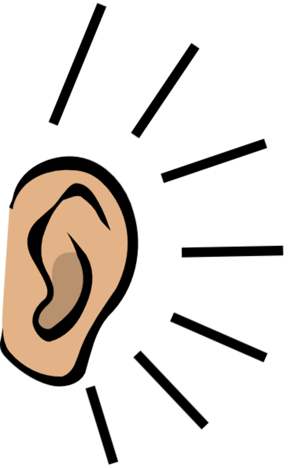 ear clipart sound