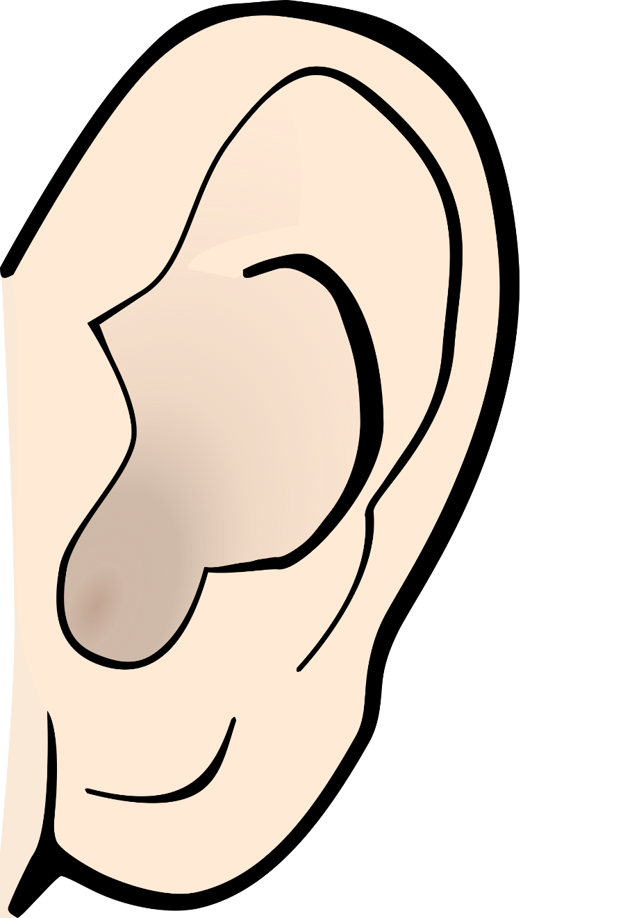 ear clipart five senses
