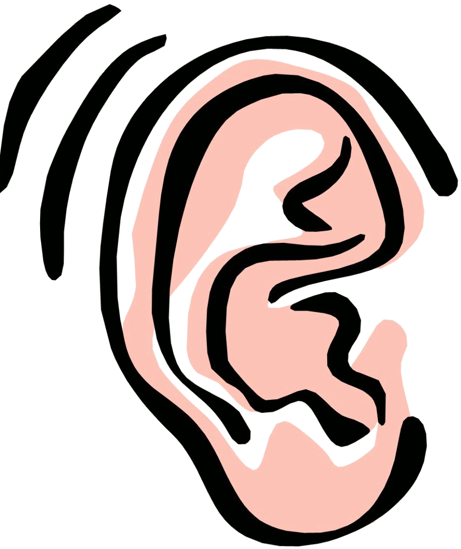 Download High Quality Ear Clipart Sound Transparent Png Images Art