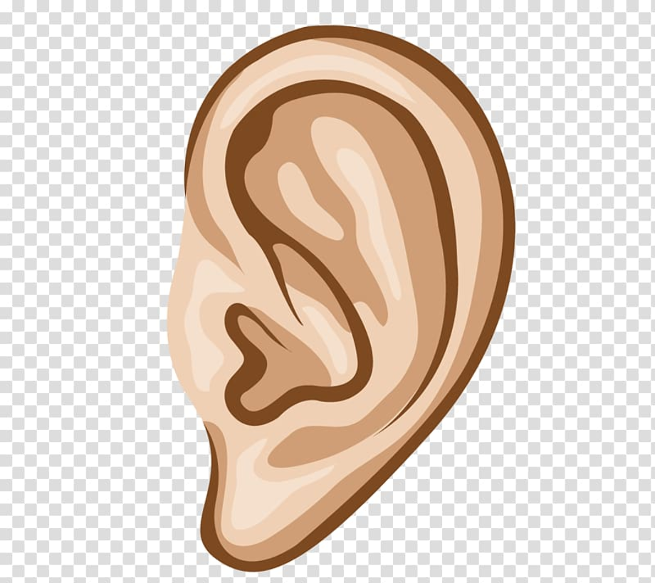 ear clip art brown