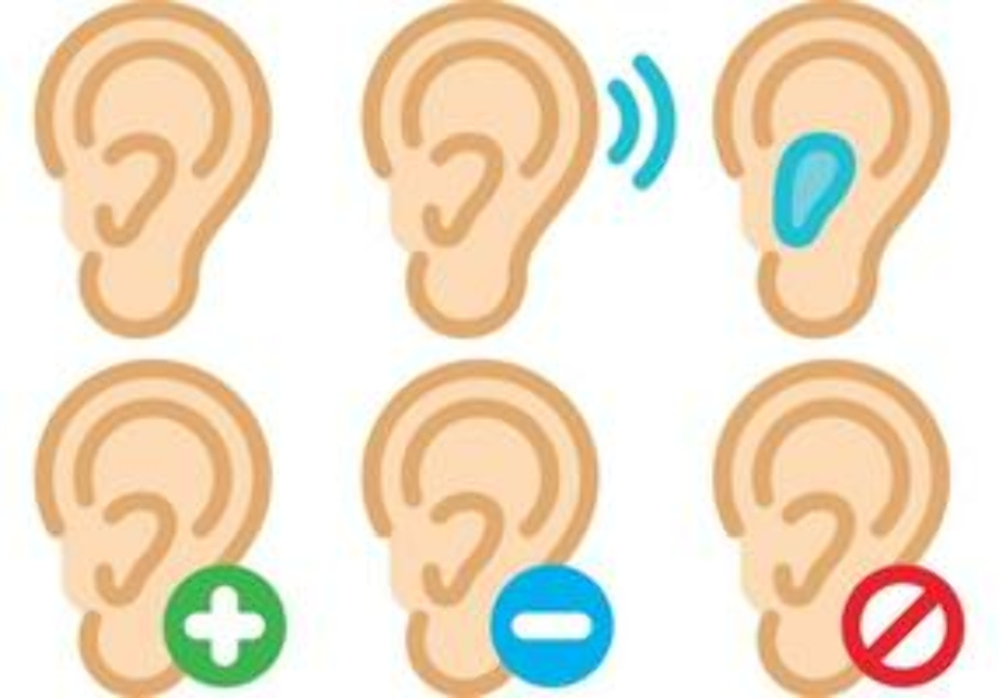 Download High Quality ear clipart vector Transparent PNG Images - Art