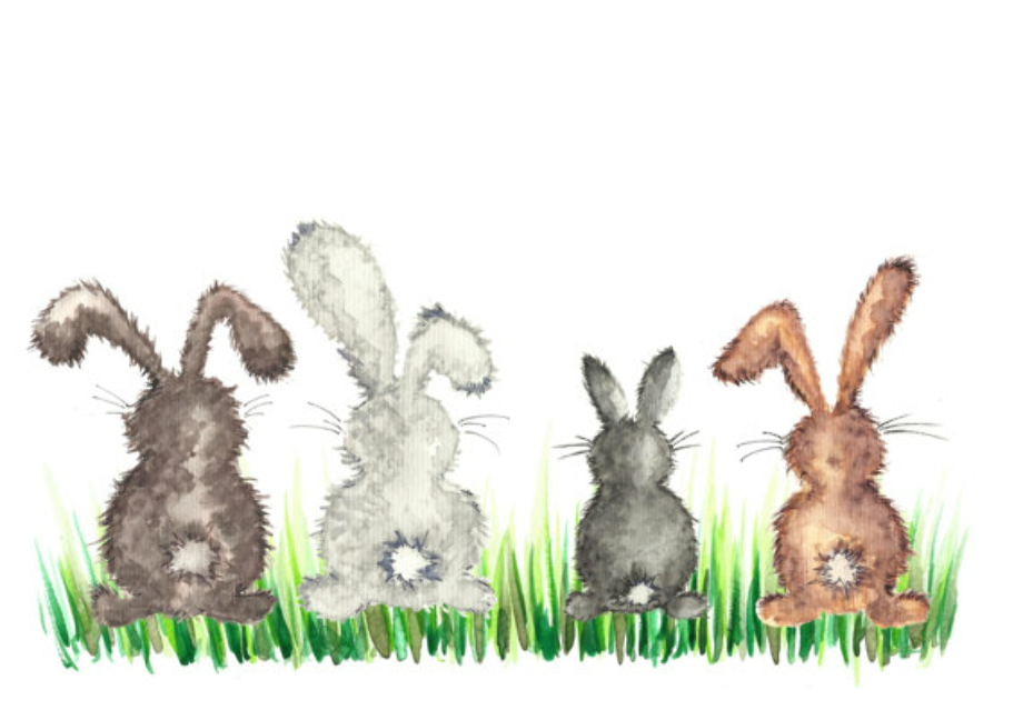 bunny clipart watercolor