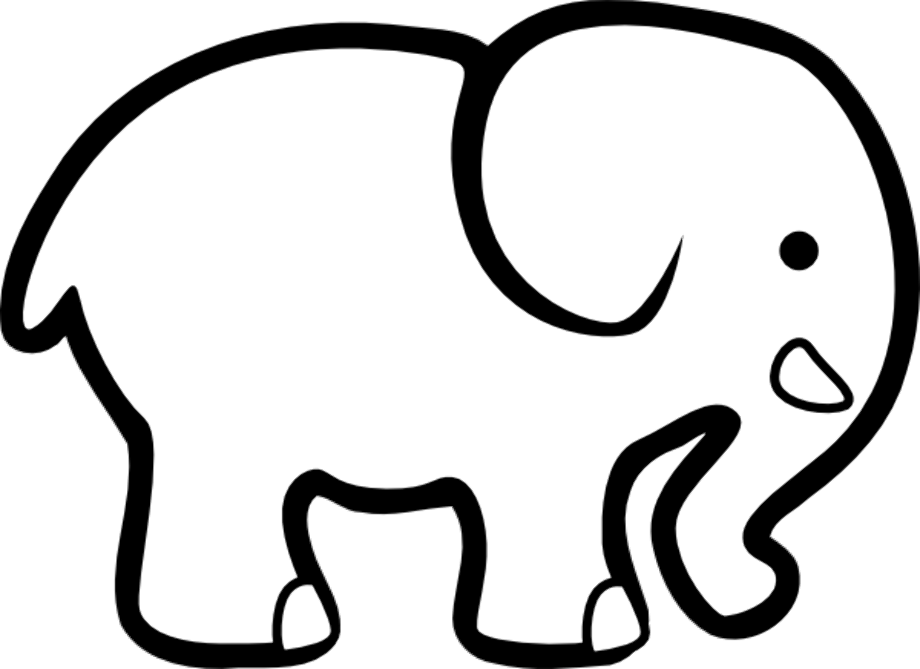 Baby elephant white