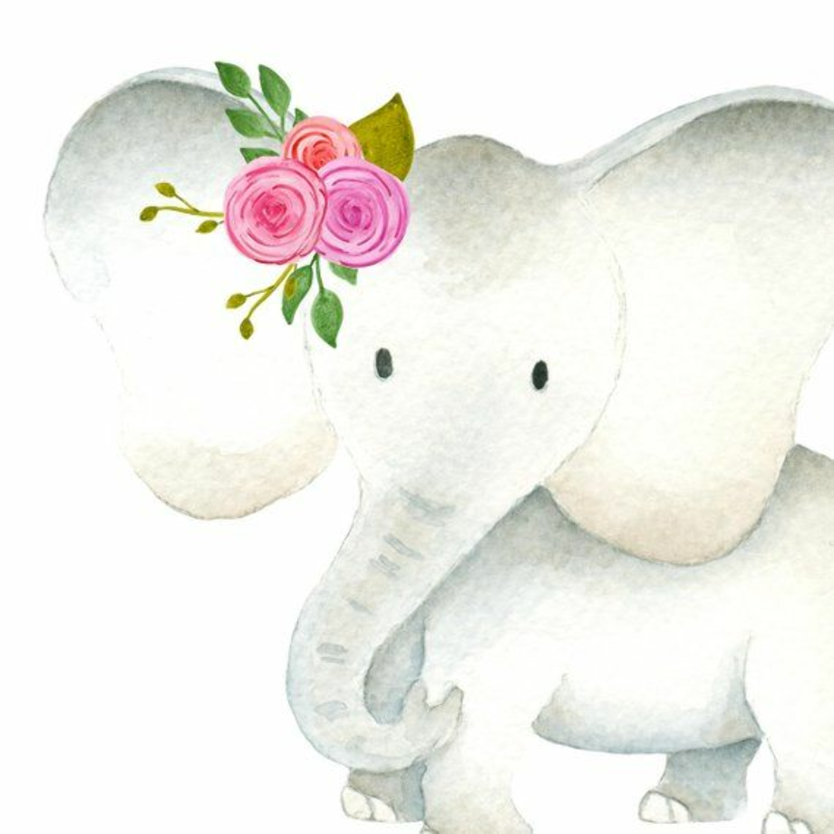 baby elephant clipart watercolor
