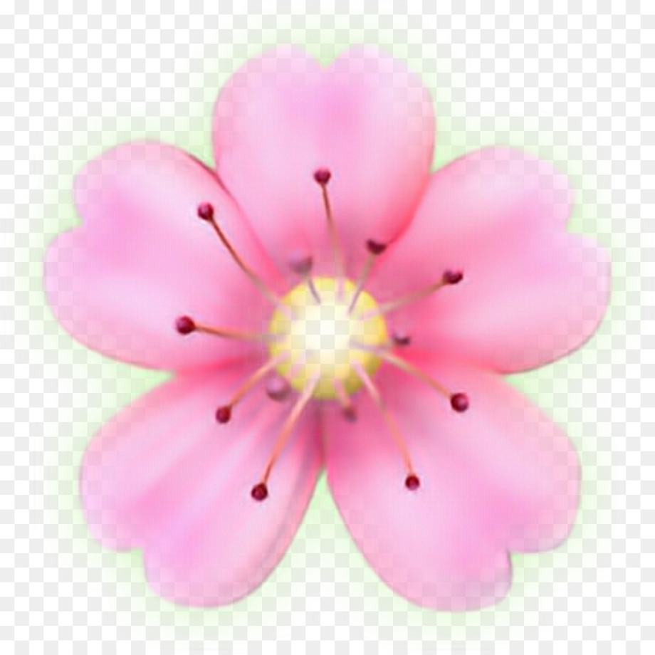 emoji transparent flower