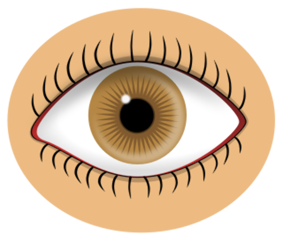 eye clipart colored