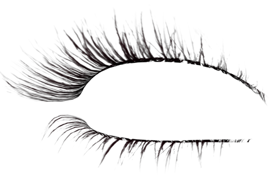 Download High Quality eyelashes clipart realistic Transparent PNG