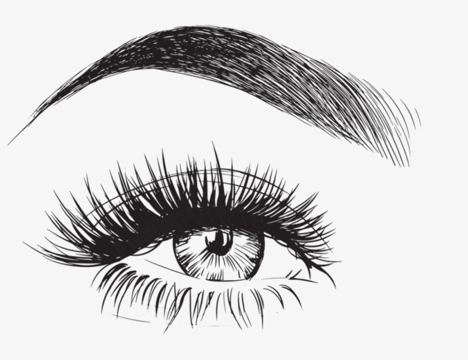 Download High Quality eyelashes clipart drawn Transparent PNG Images