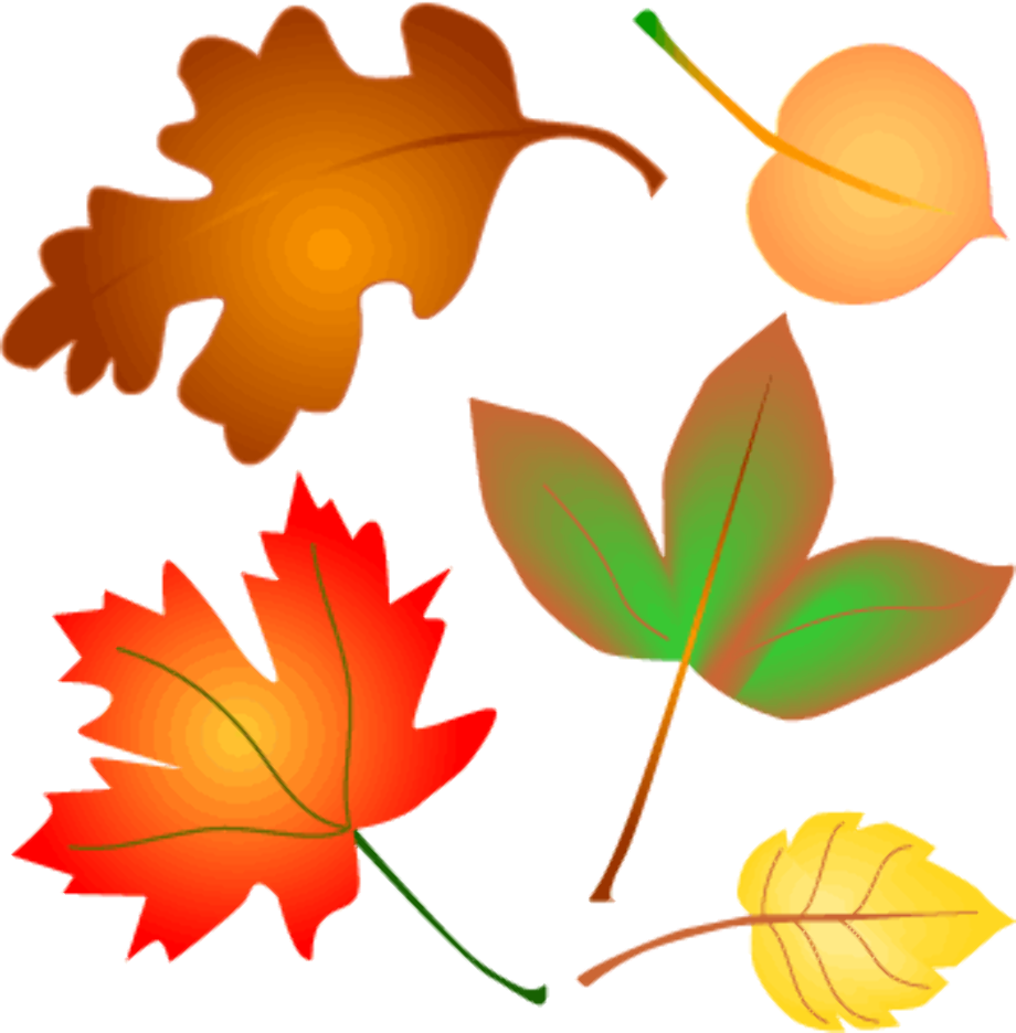 fall leaf clipart cartoon