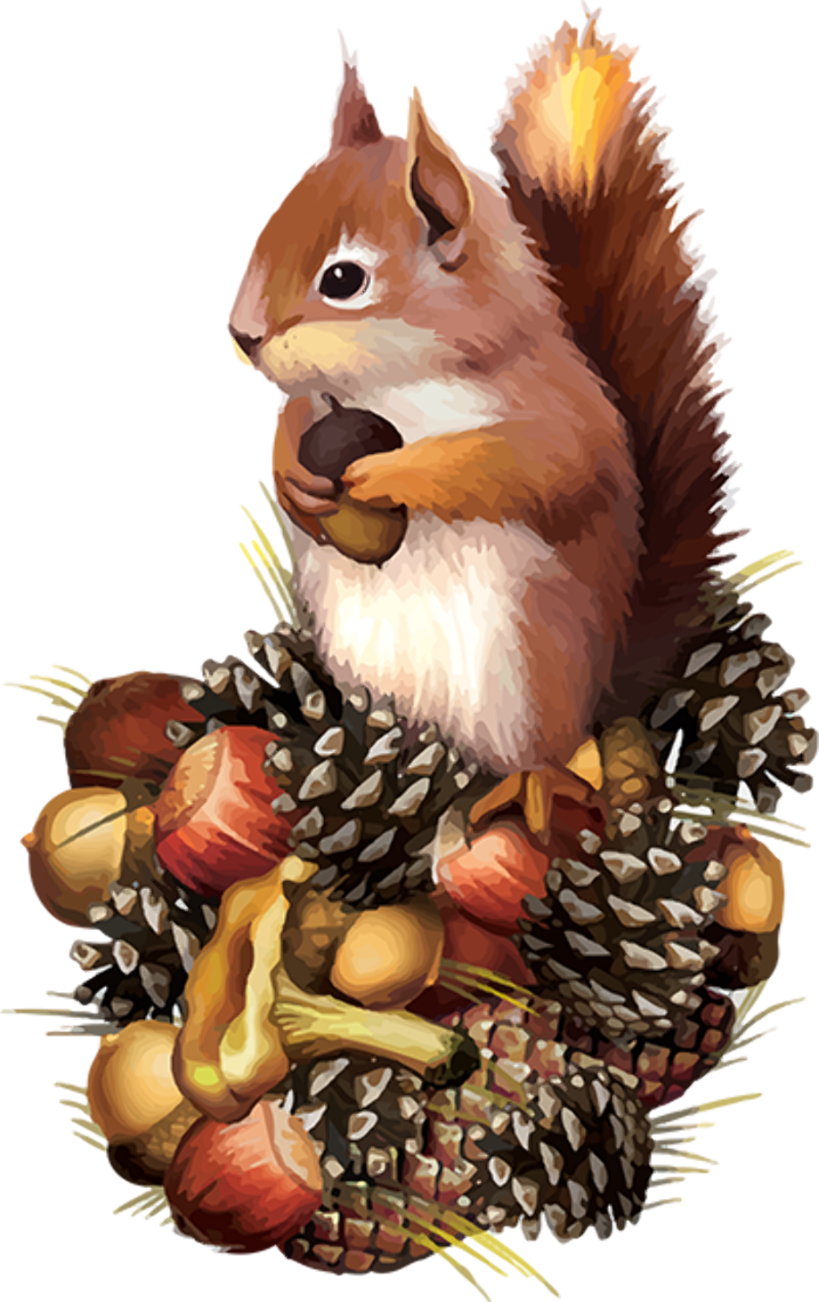 Download High Quality fall clipart squirrel Transparent PNG Images