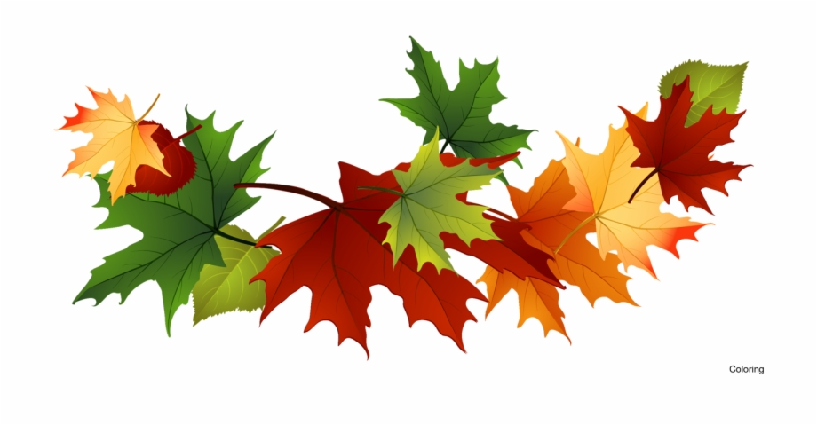 fall leaves clipart transparent background