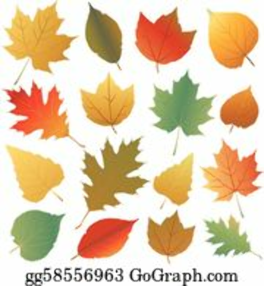 fall leaves clipart royalty free