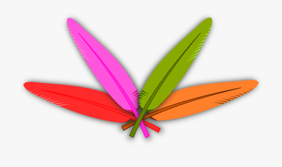 feather clipart colorful