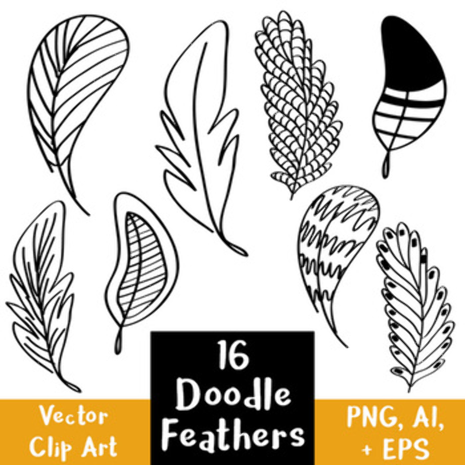 feather clipart hand drawn
