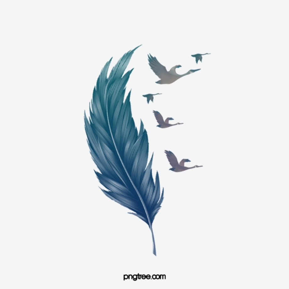 feather clipart illustration