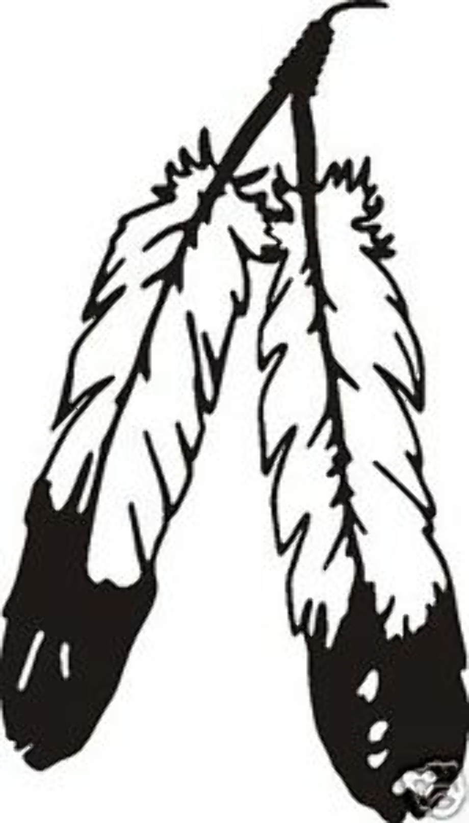Download High Quality native american clipart feather Transparent PNG ...