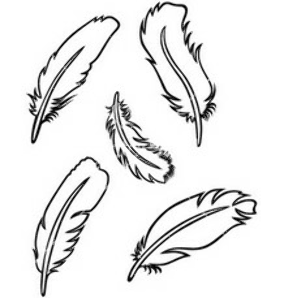 feather clipart white