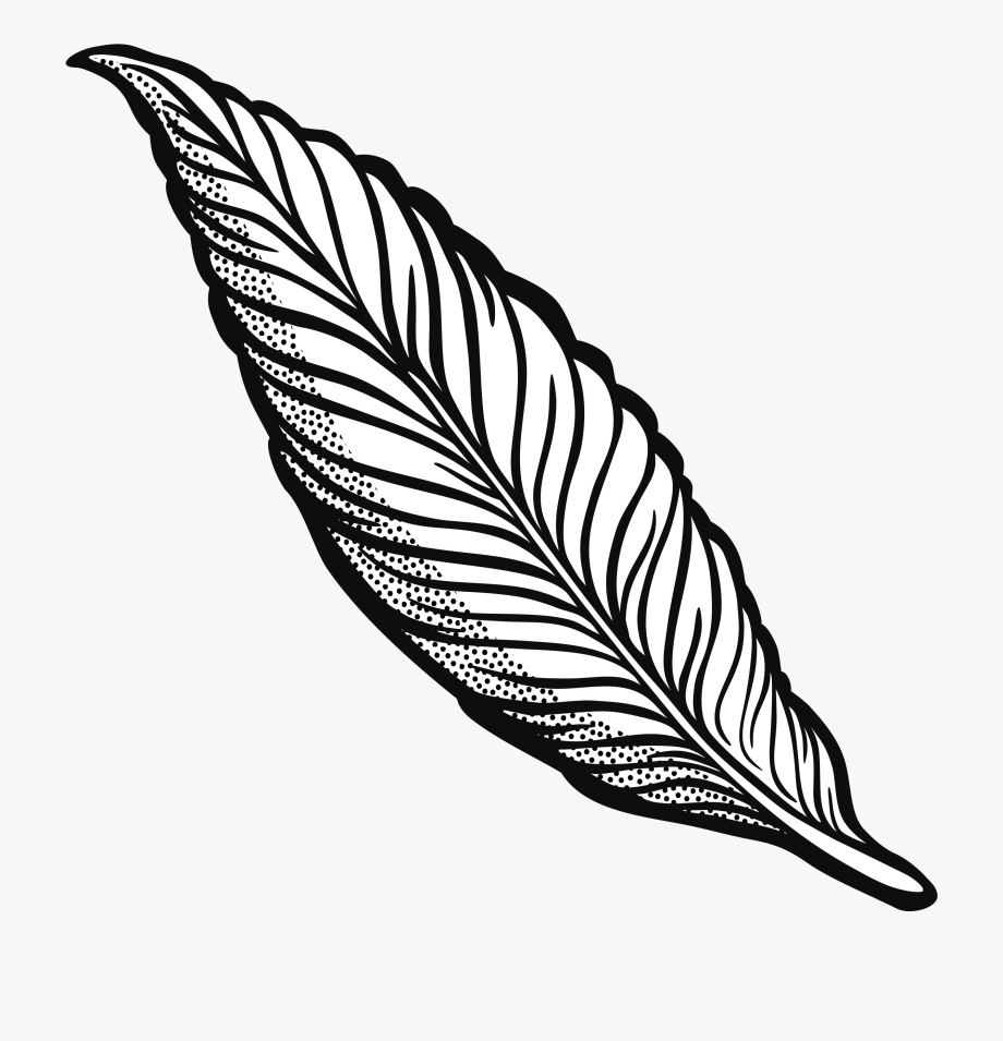 feather clipart black