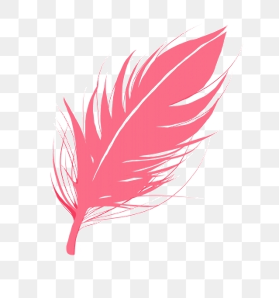 Download High Quality feather clipart pink Transparent PNG Images - Art