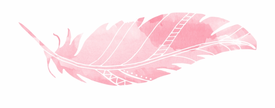 feather clipart pink