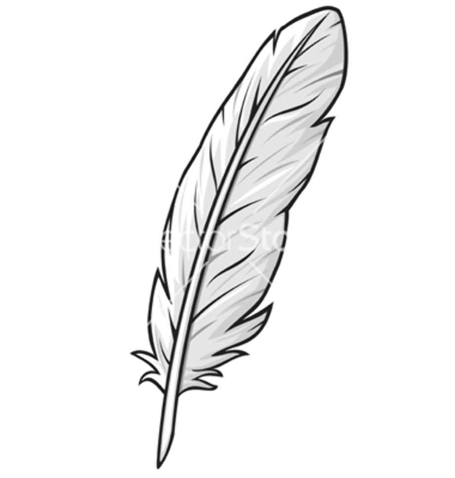 feather clipart drawing