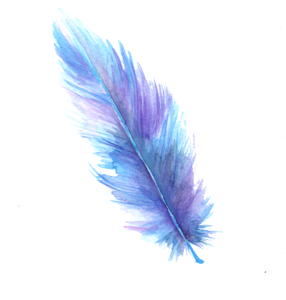 Download High Quality feather clipart transparent background