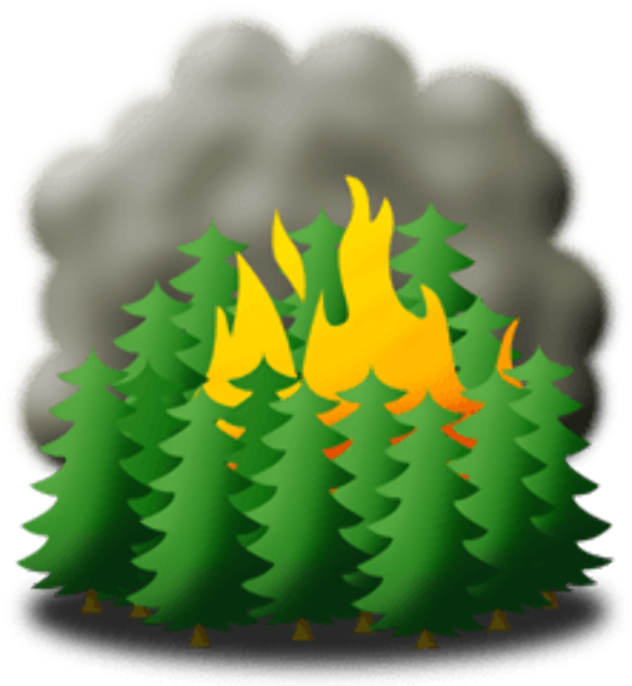fire clipart forest