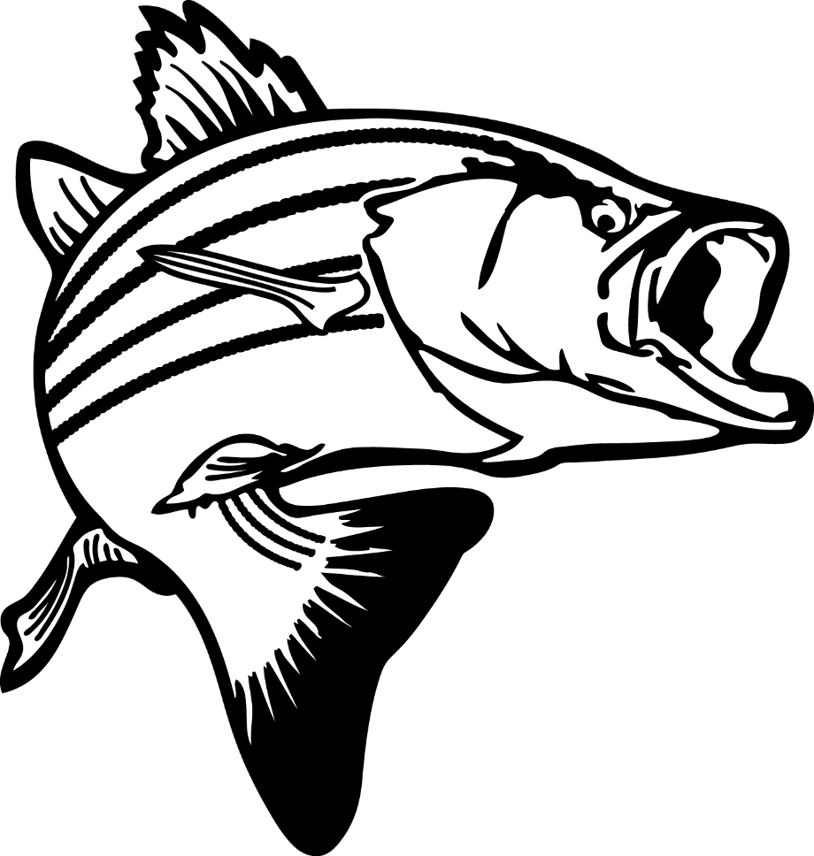 fishing clipart largemouth bass