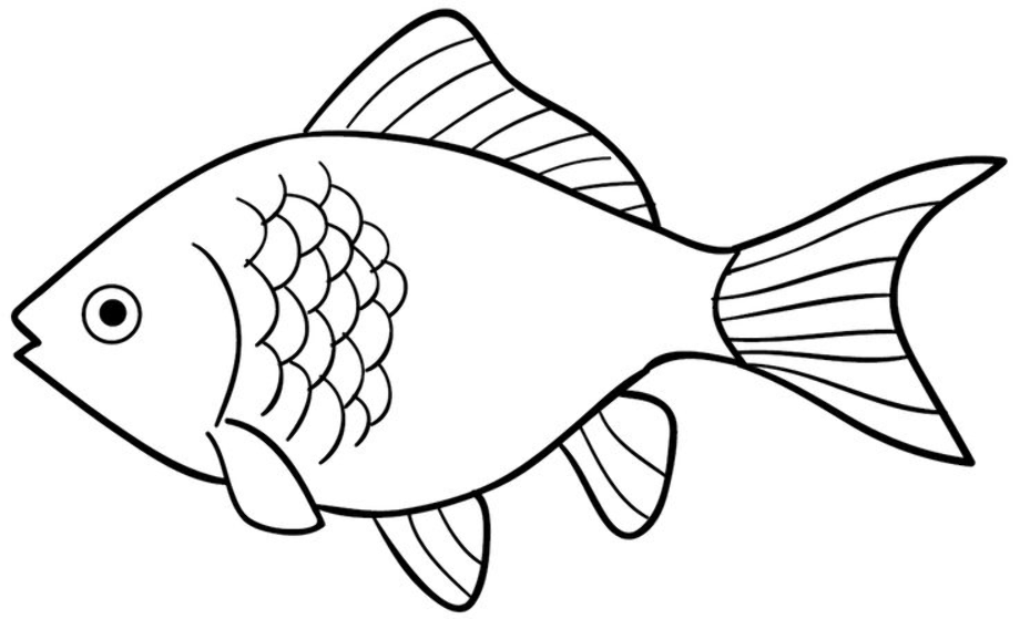 fishing clipart outline