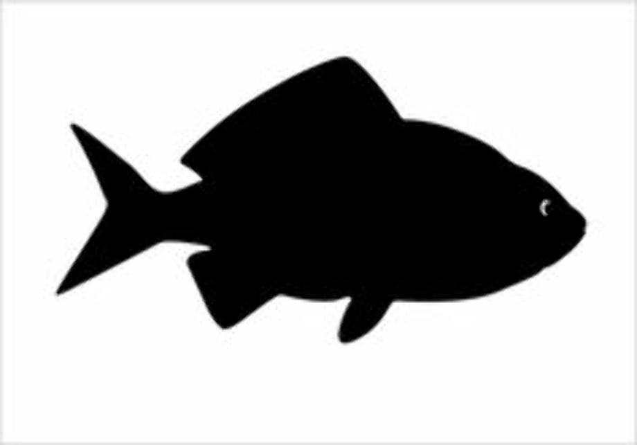 Download High Quality fish clipart silhouette Transparent PNG Images ...