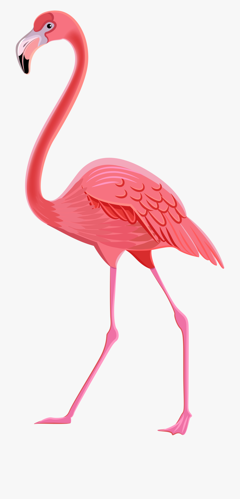 Download High Quality flamingo clip art Transparent PNG Images - Art