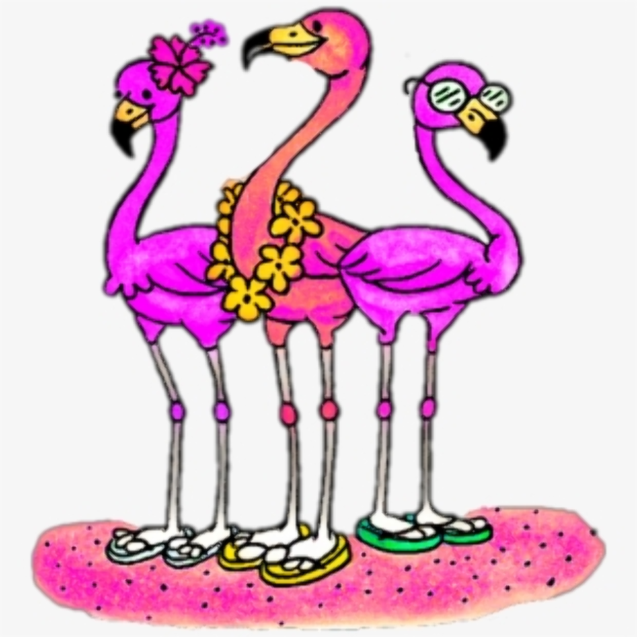 vintage flamingo clipart
