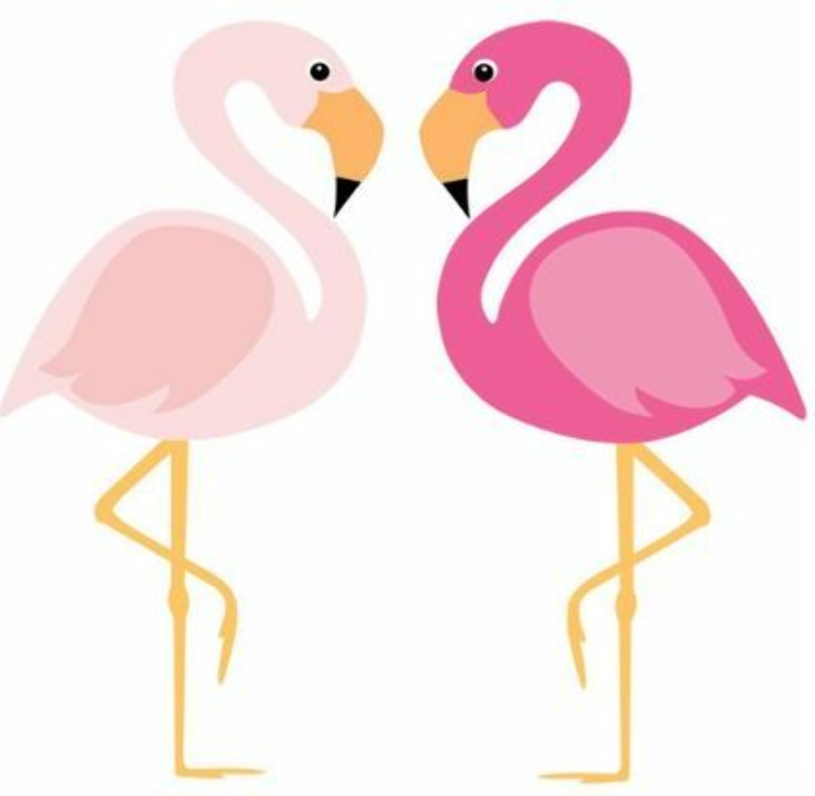 pink flamingo clipart vectored image