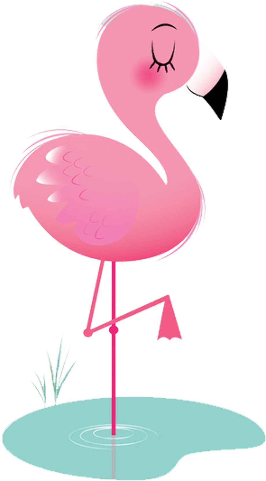 Download High Quality flamingo clip art cute Transparent PNG Images